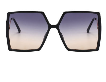 Women Plastic sunglasses Square Fashion 2022 New Sunglasses Personality Big D-shaped Temple summer supplier