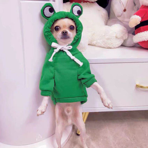 New Autumn and Winter Wholesale Kawaii Cute Designer Pet Clothes - China  Dog Clothes and Cat Clothes price