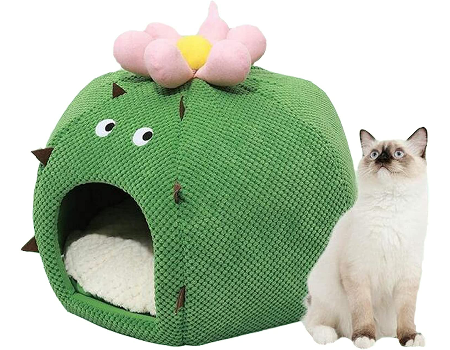 Cactus Shape Comfy Pet Bed