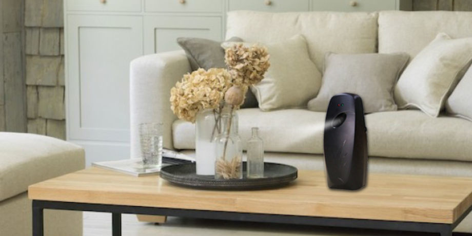 Home & Living :: Home Decor :: Hanging Air Freshener