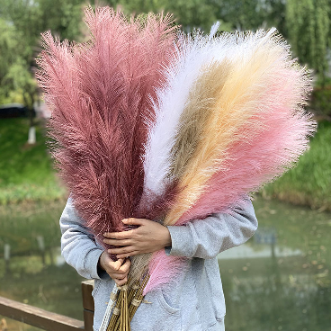 Top Seller Decorative Dried Flowers Dried Pampas Grass 120 Cm Large  Pampas for Home & Weddings Decoration - China Pampas Grass and Grass for  Home or Weddings Decoration price