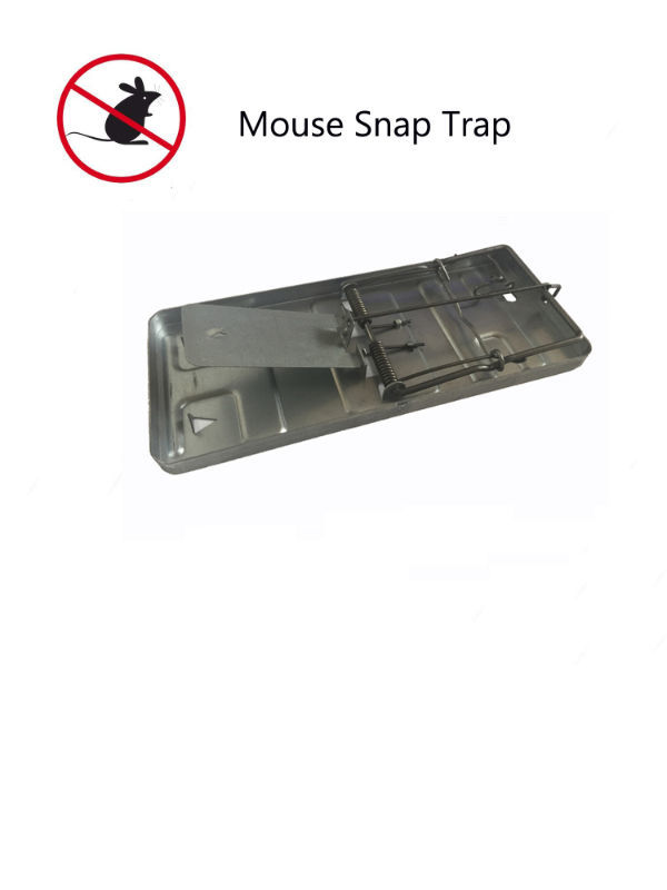 Stainless Steel Rolling Mouse Trap Rat Trap Reusable Mouse Killer