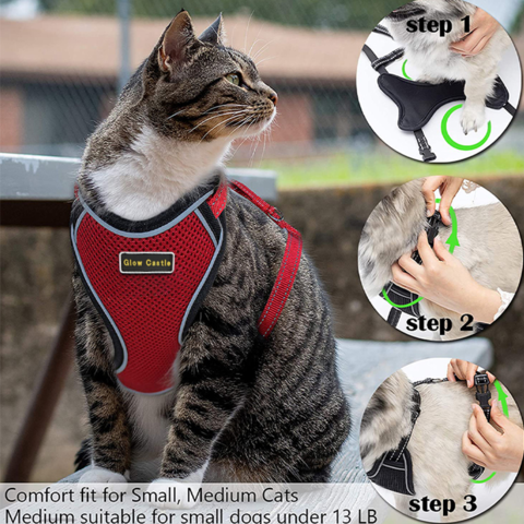 Designer Dog Harness And Leash Set Adjustable Kitten Puppy Vest Soft  Comfort Pets Lead Rope Durable Luxury For Small Medium Dogs