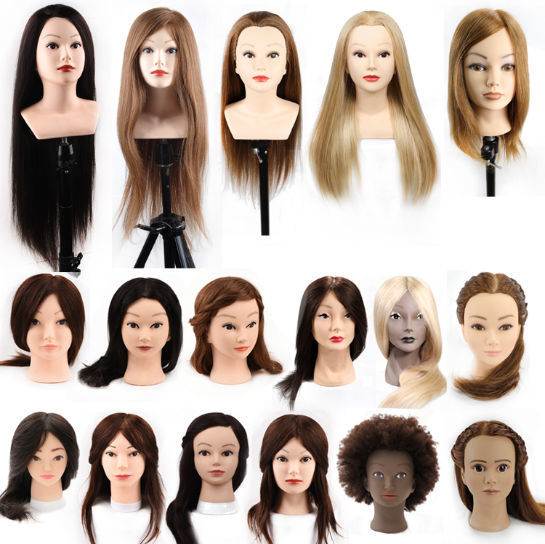 Buy Wholesale China Cosmetology 100% Real Human Hair Salon Practice  Training Head Mannequin Dummy Doll Without Shoulders & Human Hair Salon  Practice Mannequin at USD . | Global Sources