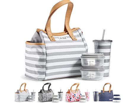 Fit + Fresh Womens Large Lunch Tote, Insulated Thermal Lunch Bag with Water Bottle, Grey Stripe, Size: One Size