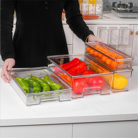 Buy Wholesale China Pet Fridge Storage Containers Boxes With Handle Bpa  Free Vegetable And Fruit Storage Basket Food Box & Fridge Storage Containers  at USD 1.04