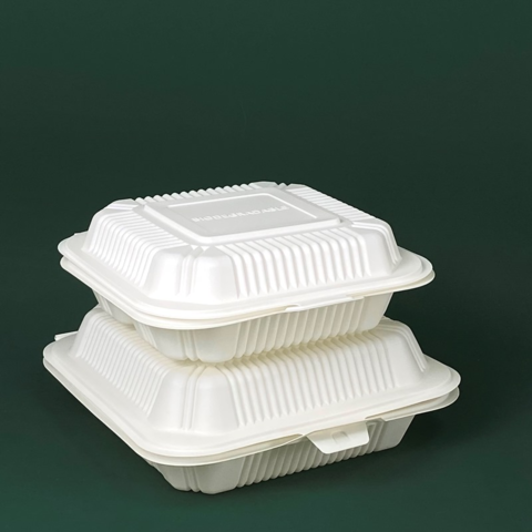 Disposable Takeaway Plates With Cover- 50 Pieces