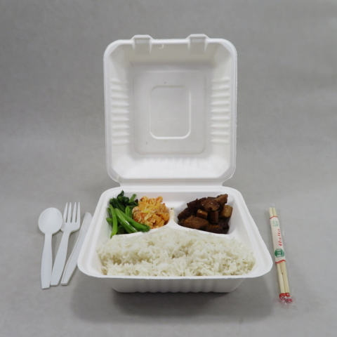 https://p.globalsources.com/IMAGES/PDT/B5292260913/Disposable-Food-Container-Airtight.jpg