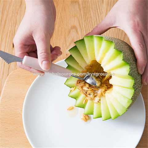 1Pc Melon Scoop Stainless Steel Single Head Baller Mini Ice Cream Scoops  Kitchen