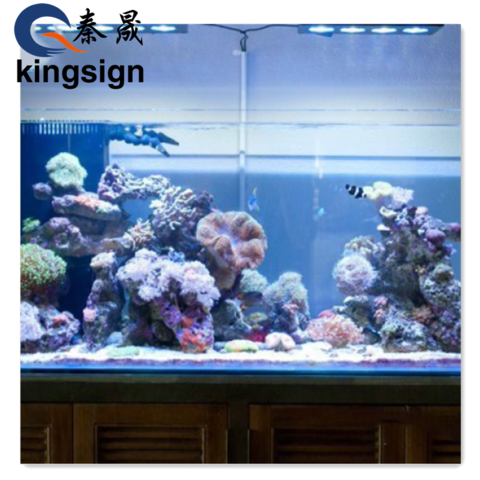 Acrylic Glue PC Board Special Adhesive Aquarium Fish Tank PMMA