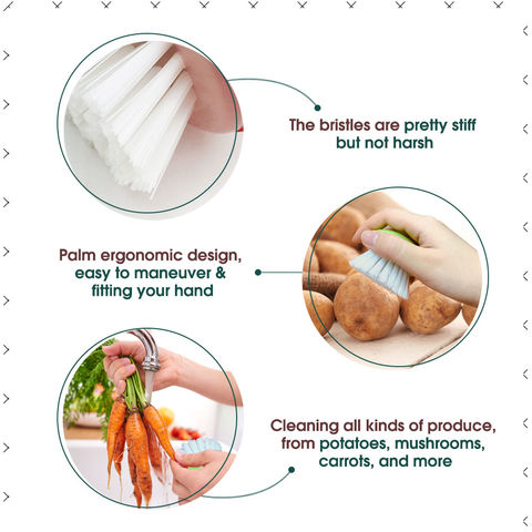 https://p.globalsources.com/IMAGES/PDT/B5295109070/vegetables-cleaning-brush.jpg