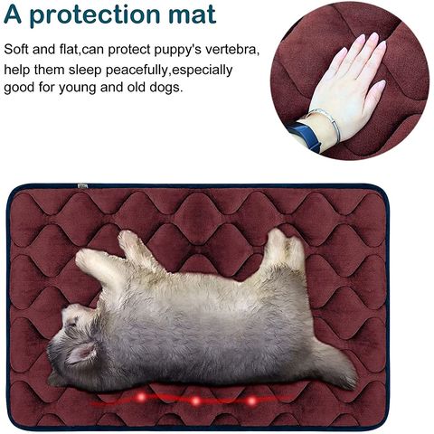 Acheter Sagit, tapis, coussin, pour, chiens, chats, glace, soie