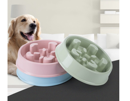 Buy Wholesale China Pet Fun Feede Slow Feeder, Bloat Stop Dog Food Bowl Maze  Interactive Puzzle Cat Bowl & Pet Supplies at USD 1.2