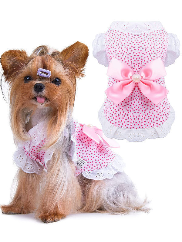 Robe pour best sale chien mariage