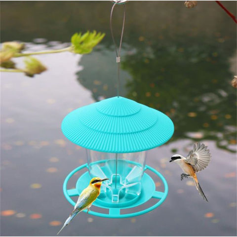 Type de suspension Mangeoire pour oiseaux Maison d'oiseau Mangeoire colibri