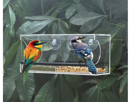 Acrylique Transparent Bird Feeder Pet Bird Cage Outdoor - Temu Canada