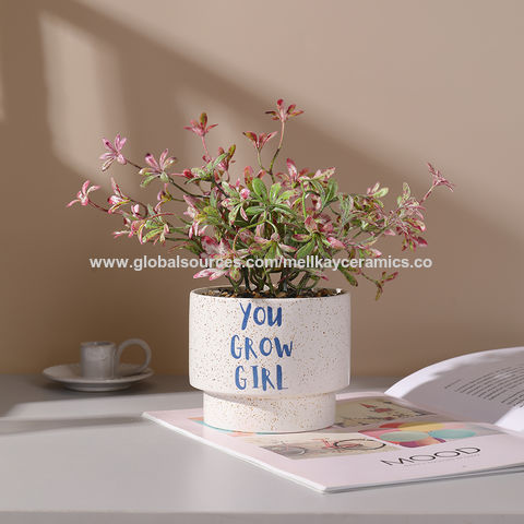 Buy Wholesale China Ceramic Houseplant Pot Retro Style Matte Grit Coloured  Galze Finished Decorative Mini Flower Planter & Retro Decorative Plant Pots  at USD 1.5