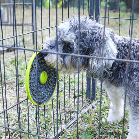 dog crate treat dispenser