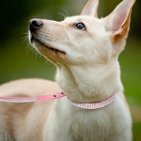 2023 New Design Pet Accessories Waterproof Luxury Leather Dog Cat Collars  PU Classic Printing Custom Designer Dog Collar - China Easy Walk Dog Collar  and Security Pet Collar price