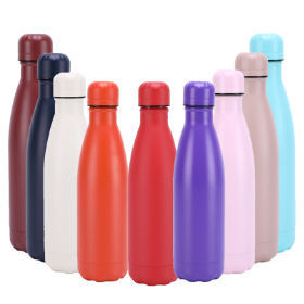 Kids Water Bottle 17 Oz 316 Stainless Steel Vacuum Insulated Thermos With  Straw