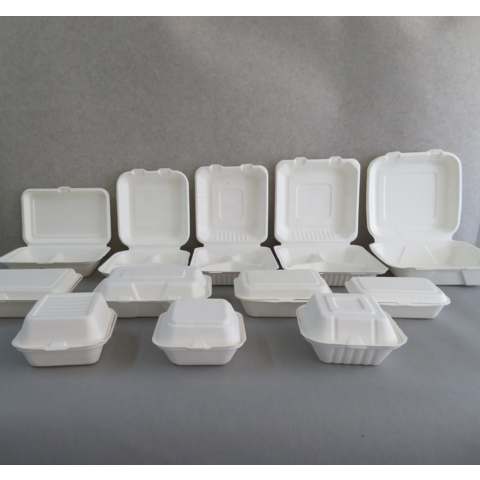 China Biodegradable Disposable Containers Suppliers, Manufacturers -  Factory Direct Price - HS