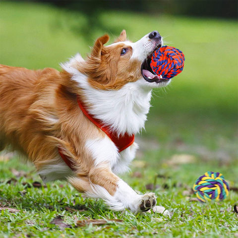 ODM Pet Toy Pet Snuffle Ball Toy Interactive - China ODM Pet Toy and  Intelligent Pet Toy price