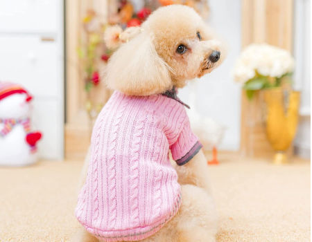 Classic Plaid Designer Wholesale Dog Clothes with School Uniform Skirts for  Cat Doggy Party Apparel - China Dog Clothes and Dog Jacket price