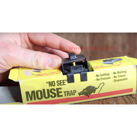 https://p.globalsources.com/IMAGES/PDT/B5321629862/Disposable-Mouse-Trap-Box.png