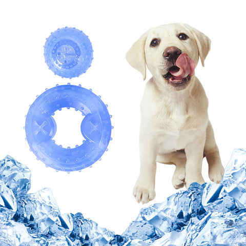 Pet Toy Tpr Summer Ice Ring Cooling Frozen Dog Toy, Teeth Cleaning