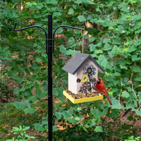 Comprar 2023 Casa para pájaros de metal de alta calidad, Nido de Pájaro  as, decoración para patio, casa para pájaros al aire libre,  decoraciones para jardín