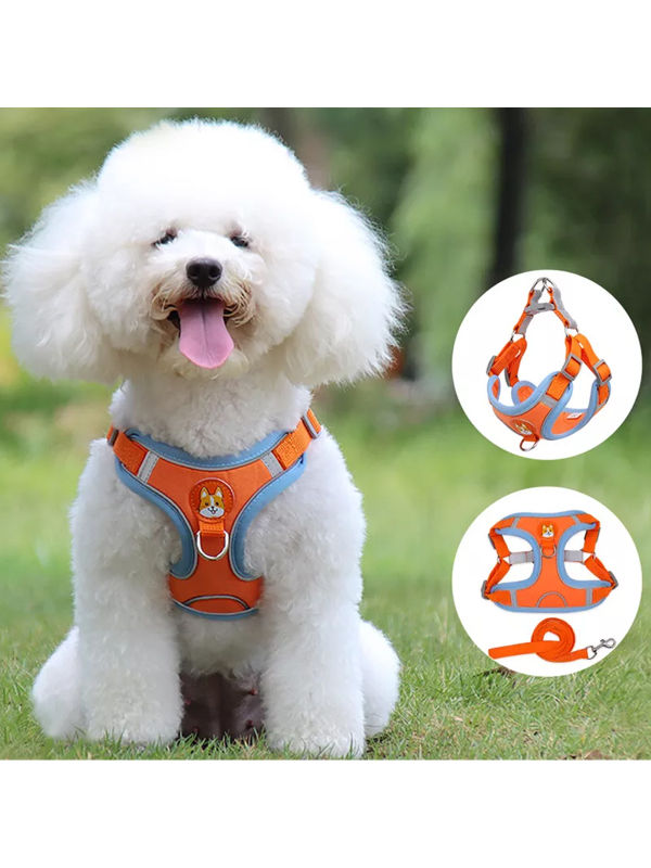 Buy Wholesale China Dog Chest Harness Thick Waterproof Pet Chest Strap Designer  Dog Harness Pet Prong Collar And Leash & Pet Harnesses at USD 13.59