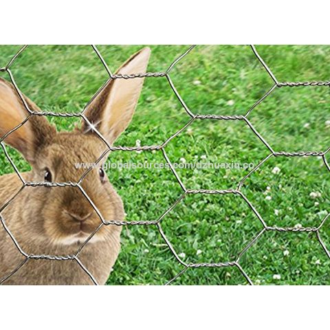 Buy Wholesale China Chicken-wire-mesh-rabbit-fence-25mm-galvanised-garden- netting-0-6-x-25m-156 Chicken-wire-mesh-rabb & Rabbit Electric Galvanized  Hexagonal Wire Mesh at USD 0.5