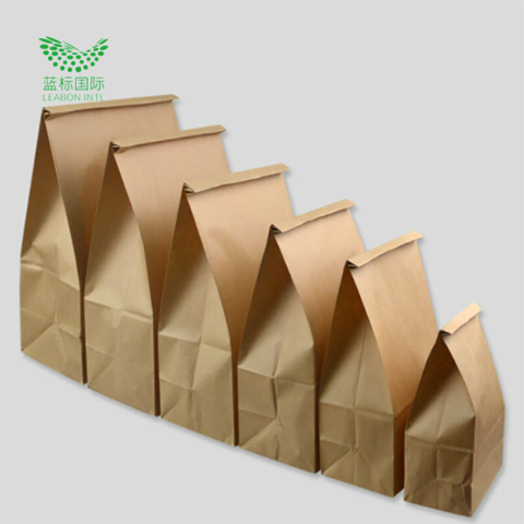 Cheer.US Kraft Brown Paper Bags, Brown Paper Lunch Bags Bread Bags Paper  Snack Bags for Packing Lunch - Blank Kraft Brown Paper Bags for Arts &  Crafts Projects,100% Recycled Kraft Lunch Bags 