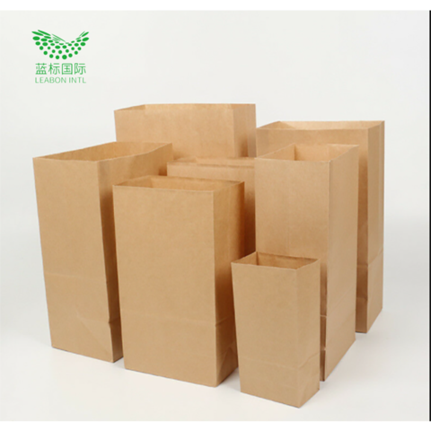 Cheer.US Kraft Brown Paper Bags, Brown Paper Lunch Bags Bread Bags Paper  Snack Bags for Packing Lunch - Blank Kraft Brown Paper Bags for Arts &  Crafts Projects,100% Recycled Kraft Lunch Bags 