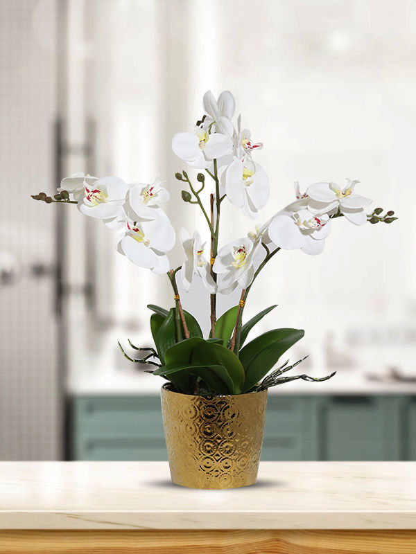 Buy Wholesale China Artificial Flowers White Orchid Flower Faux