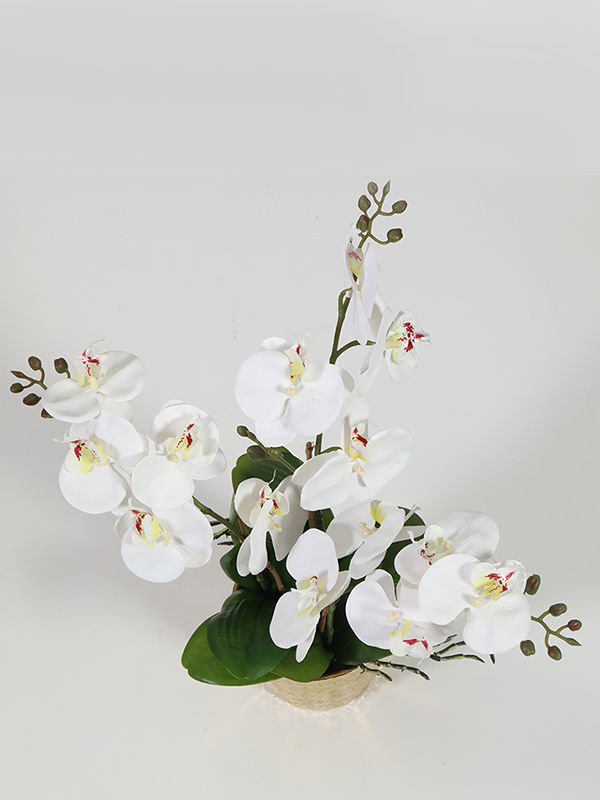 Buy Wholesale China Artificial Flowers White Orchid Flower Faux