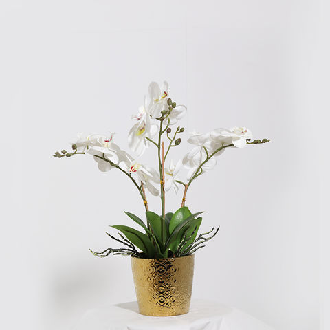 40 cm Orchidée Artificielle Blanche, Orchidée en Pot Doré, Orchidées  Artificielles