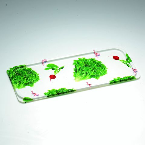 Kunststofftabletts, kundenspezifische Designs sind willkommen, erhältlich in verschiedenen Größen und Formen. Ideal für [Spezifische Industrie, z.B. Verpackung, Lebensmittel, etc.]. Fordern Sie jetzt Ihr Angebot an.