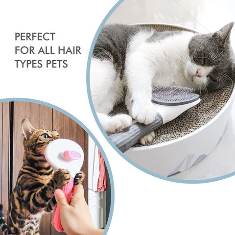 https://p.globalsources.com/IMAGES/PDT/B5342549504/Self-Cleaning-Brush-for-Dogs-Cats.jpg