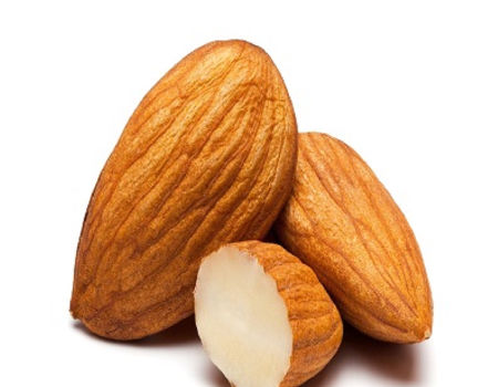 Almond Nuts Raw Nutrition Organic Almond Nuts supplier