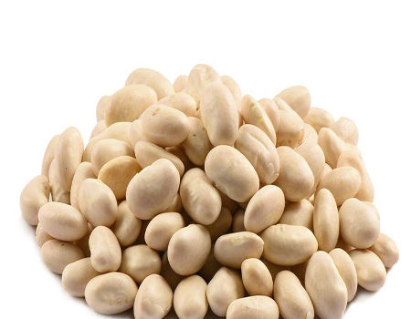 White kidney beans large size 2022 new crop white kidney beans wholesale supplier