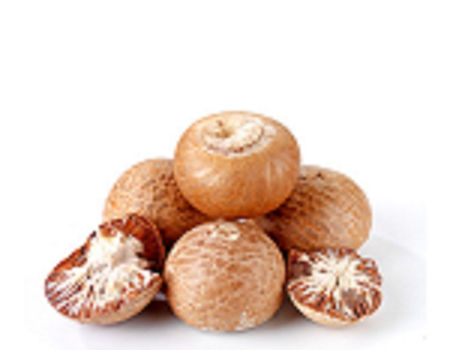 High Quality Whole Dried Betel Nut / Areca Nuts for Wholesale supplier