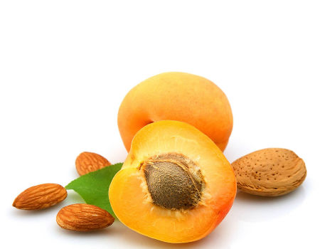 Dried Apricot Kernels for Sale / Apricot Kernels supplier