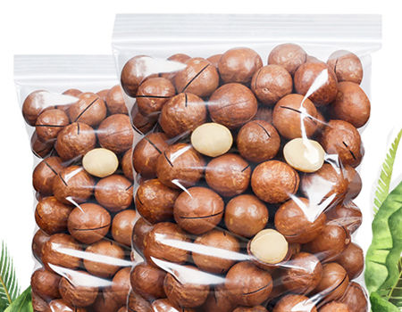 Large Daily Nuts Delicious Macadamia Nuts supplier