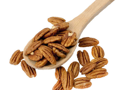 High Grade Pecan Nuts pecan nut low prices pecan nuts for sale supplier