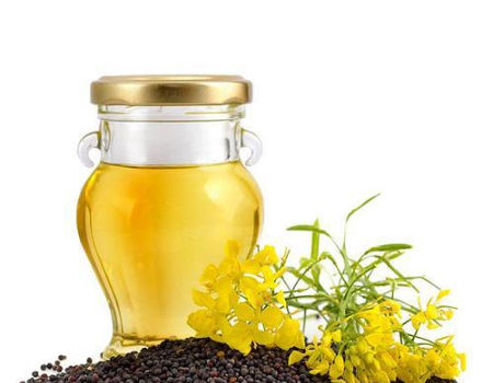 High Quality Refined Canola Oil/Rapeseed Oil supplier