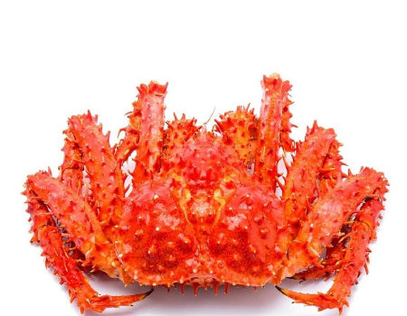 Frozen King Crab Legs in Stock for <a href='https://nagaexport.com/product/0203-meat-of-swine-fresh-chilled-or-frozen' target='_blank' /></noscript>sale</a> supplier