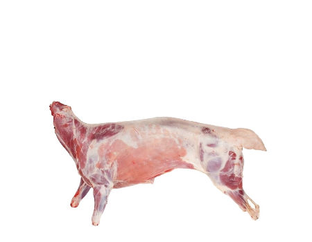 Halal Lamb Leg / Halal Frozen Lamb Meat/ Sheep Meat/ Mutton Meat supplier
