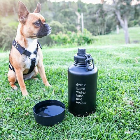 Classic Dog Travel Water Bottle