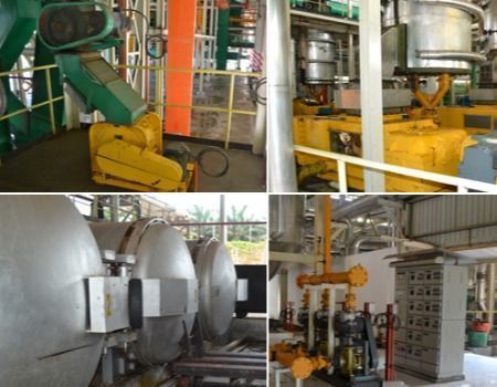 High quality Red palm oil extraction machine price/palm oil mill plant/crude palmoil refining supplier